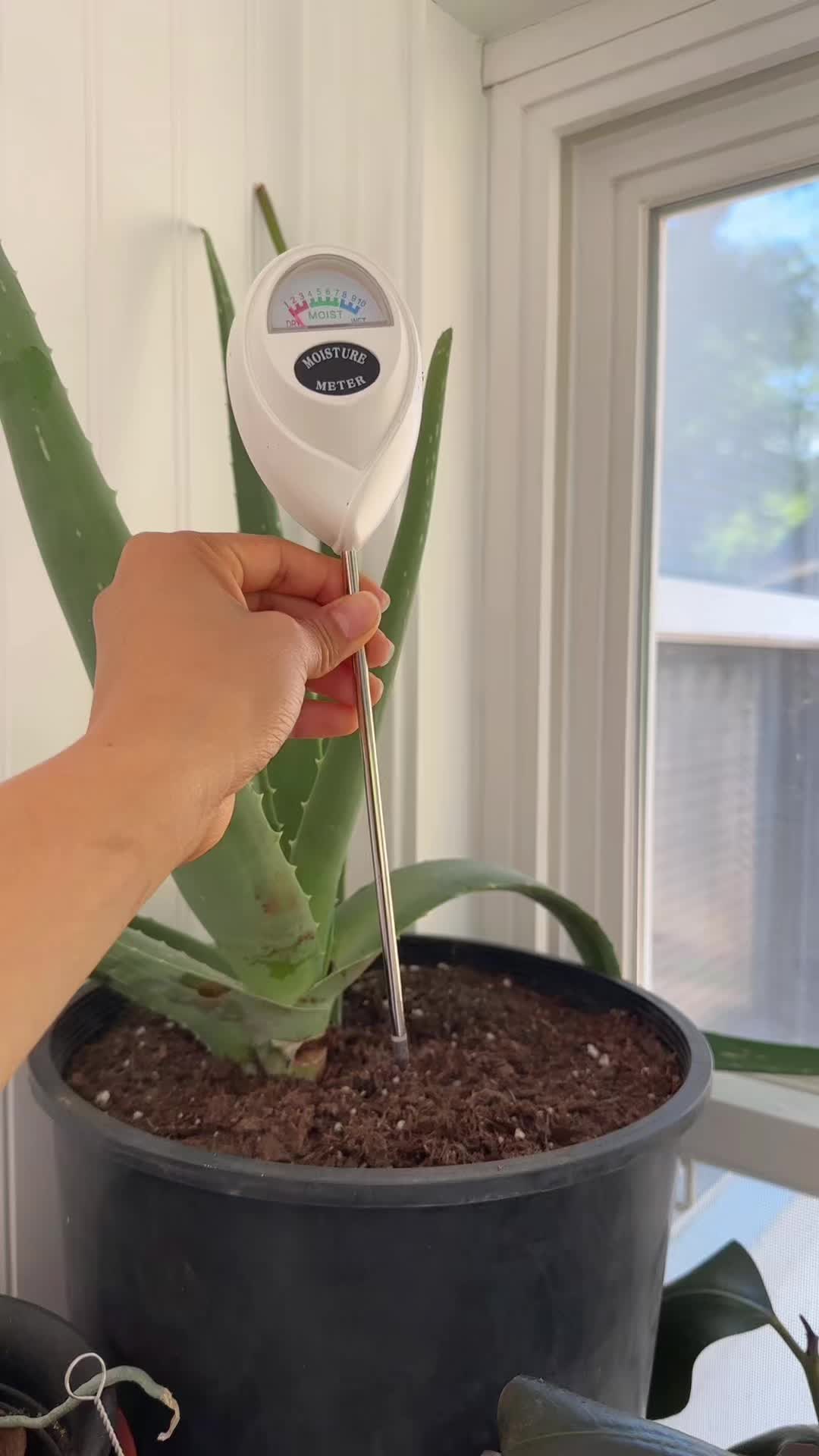@𝐄𝐧𝐬𝐲