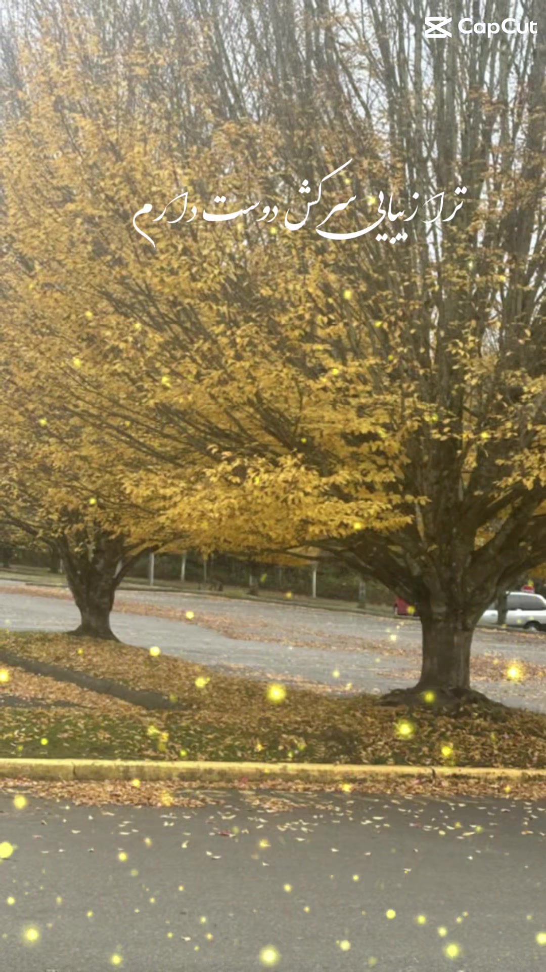 @M_azizi