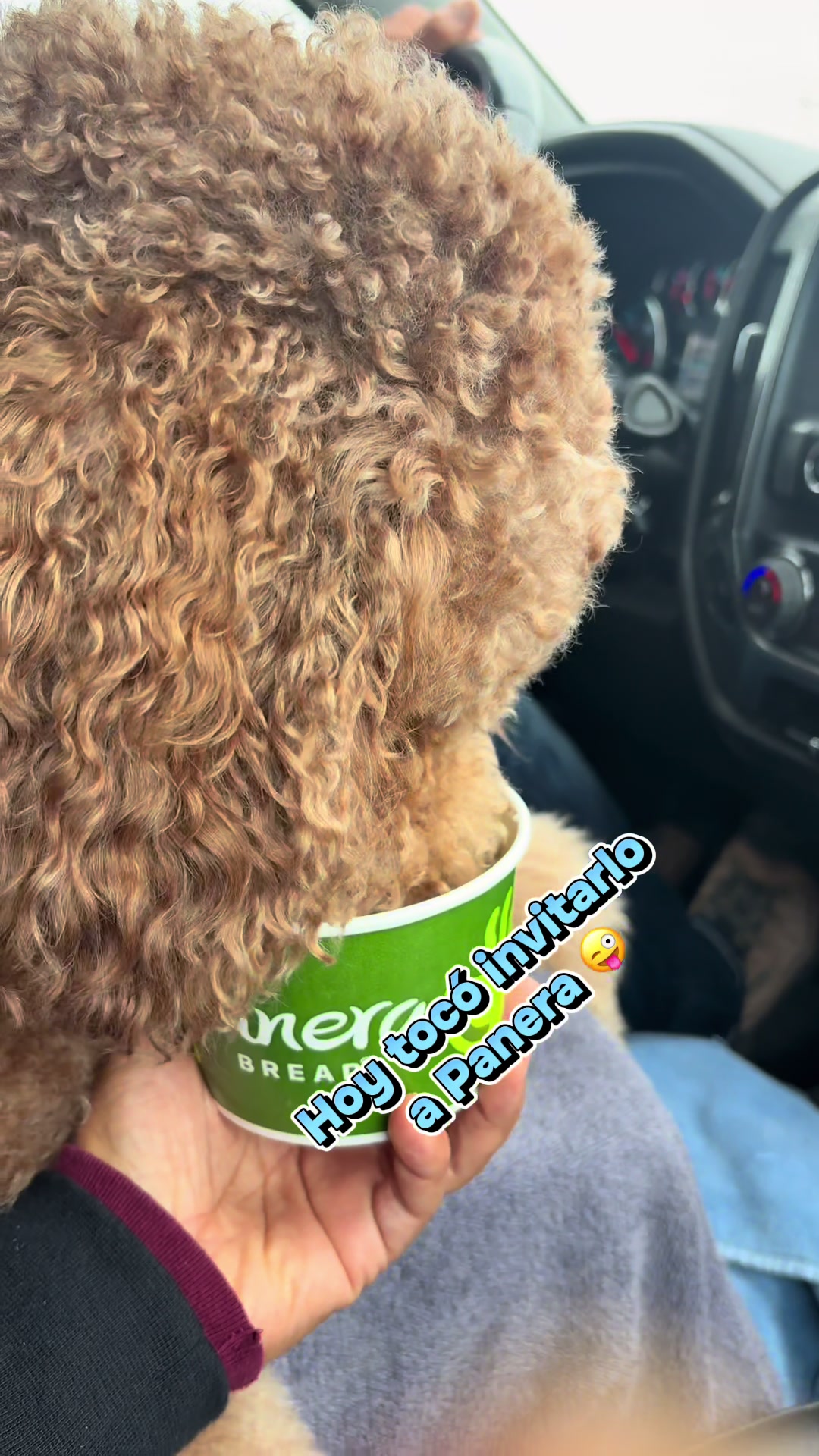 @Reyna y Churro 🐶😍
