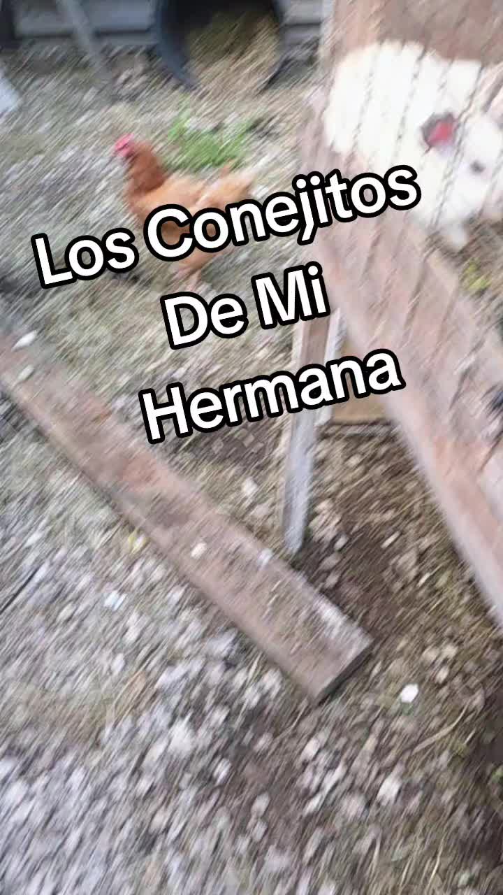 @YUDY