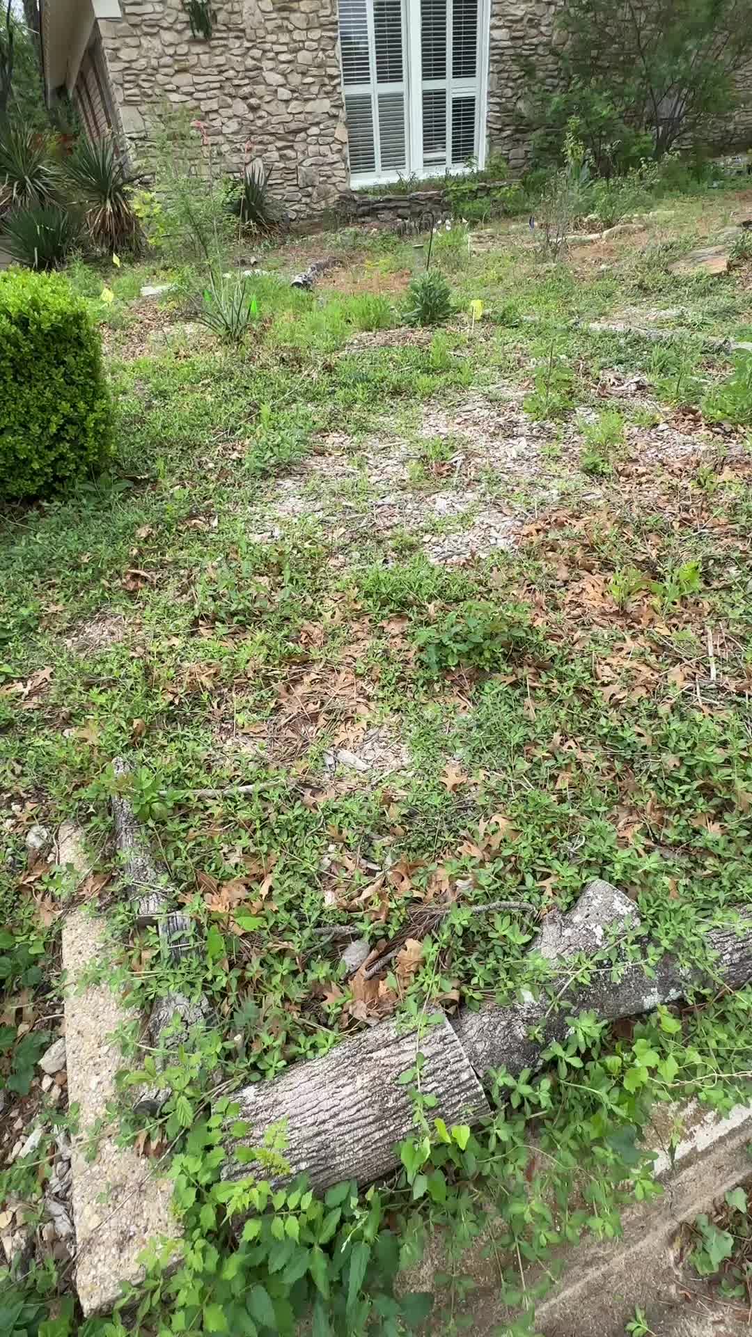 @Jessica | Xenia Backyards