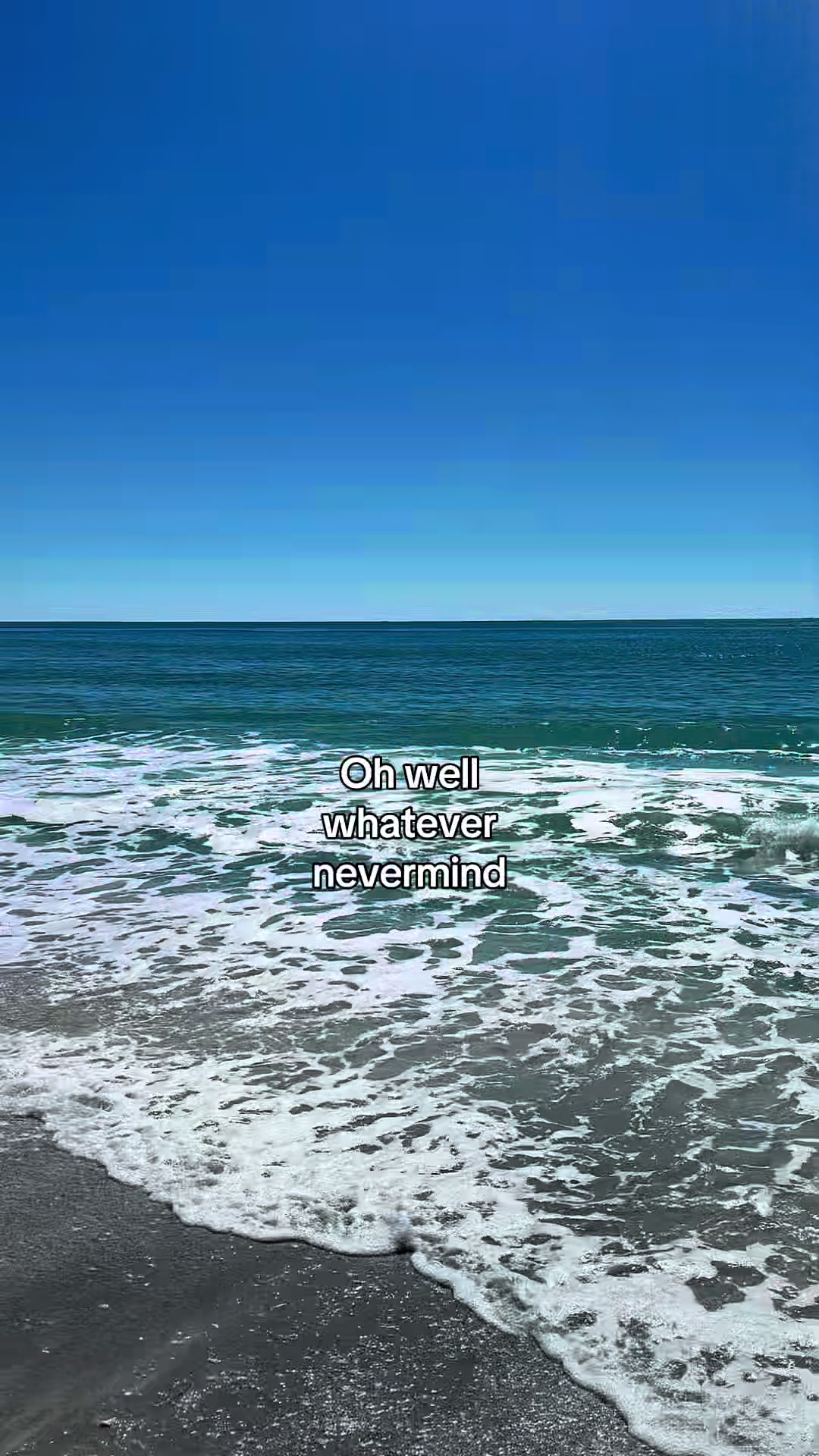 @Sarasota Local Guide 🌊🏝️
