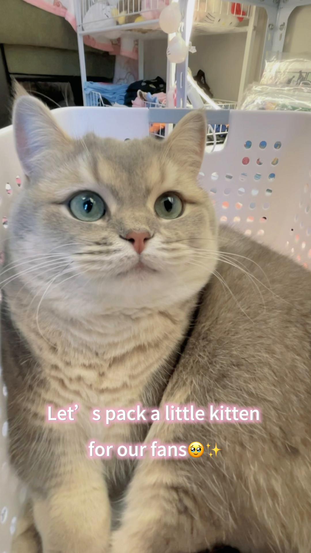 @Pizza_superRich