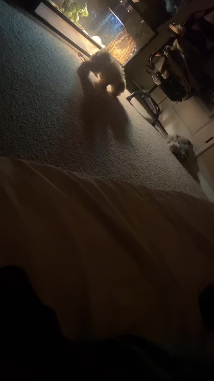 @m