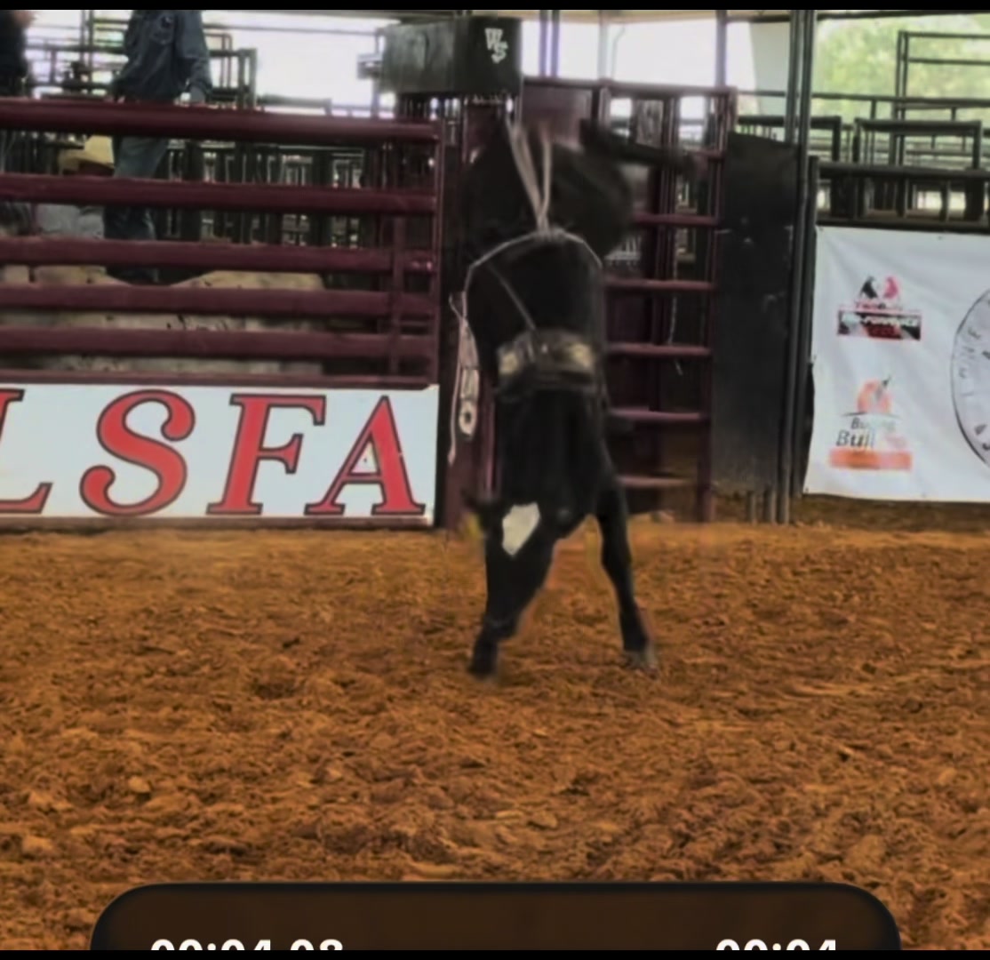 @6M Ranch & Antique Woods