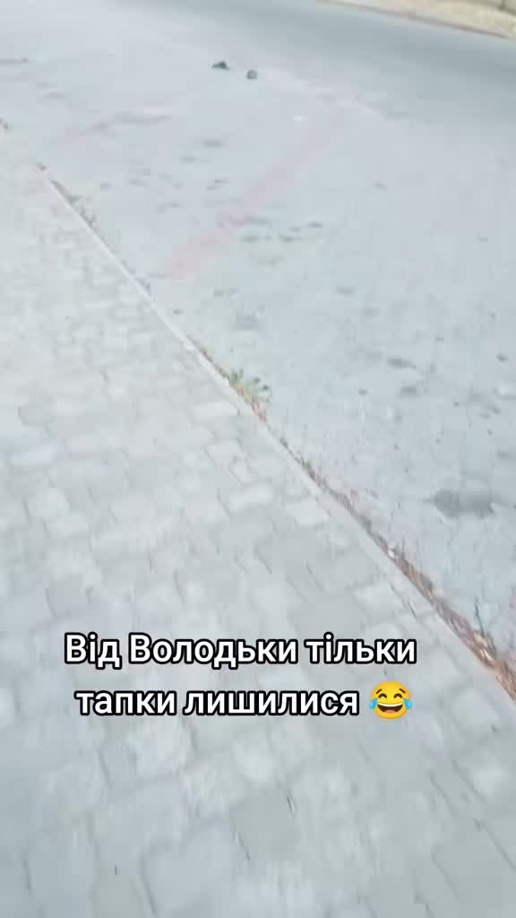 @Elenka😈