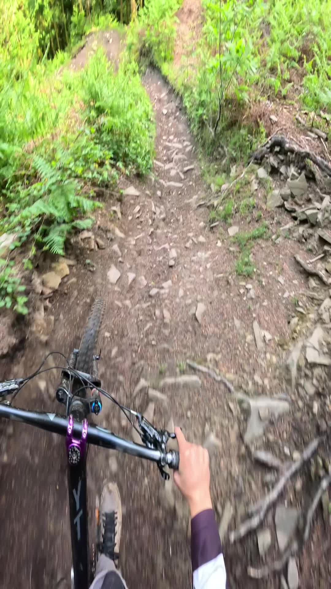 @Elliott_bikes