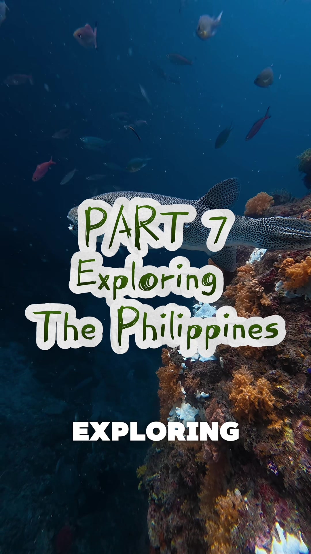 @Exploring with Harry ✈️ Travel