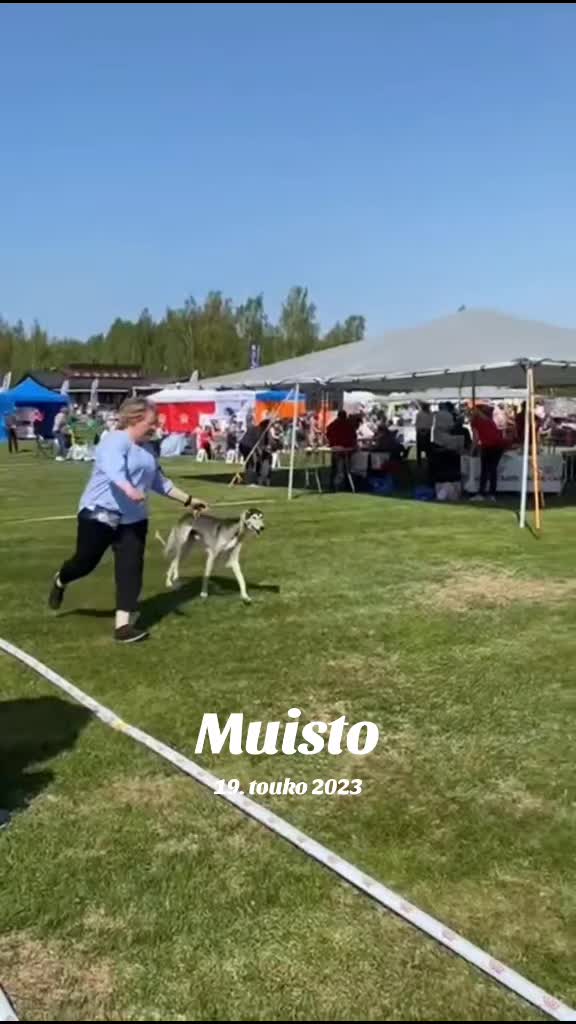 @Erja