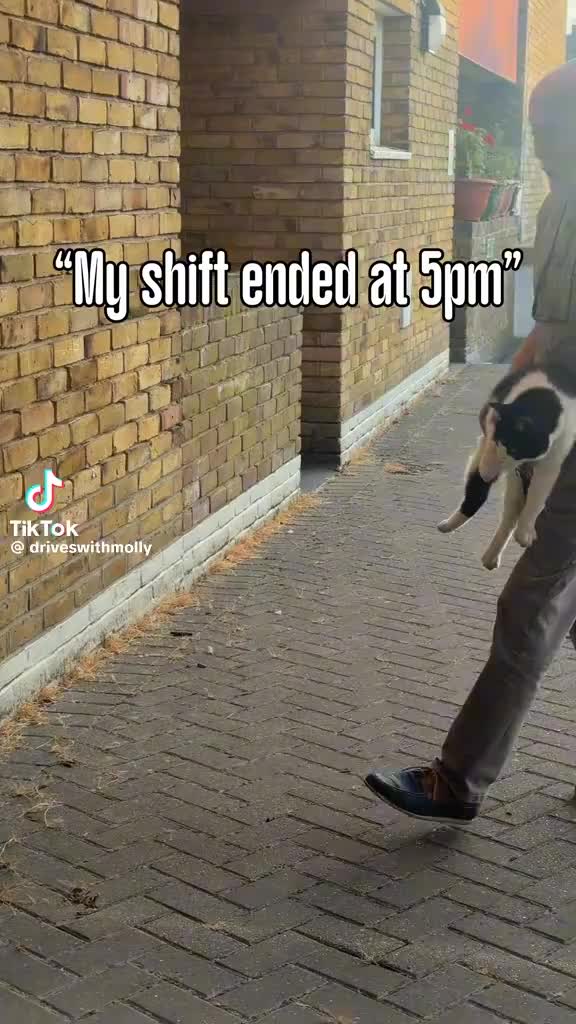 @bansky007
