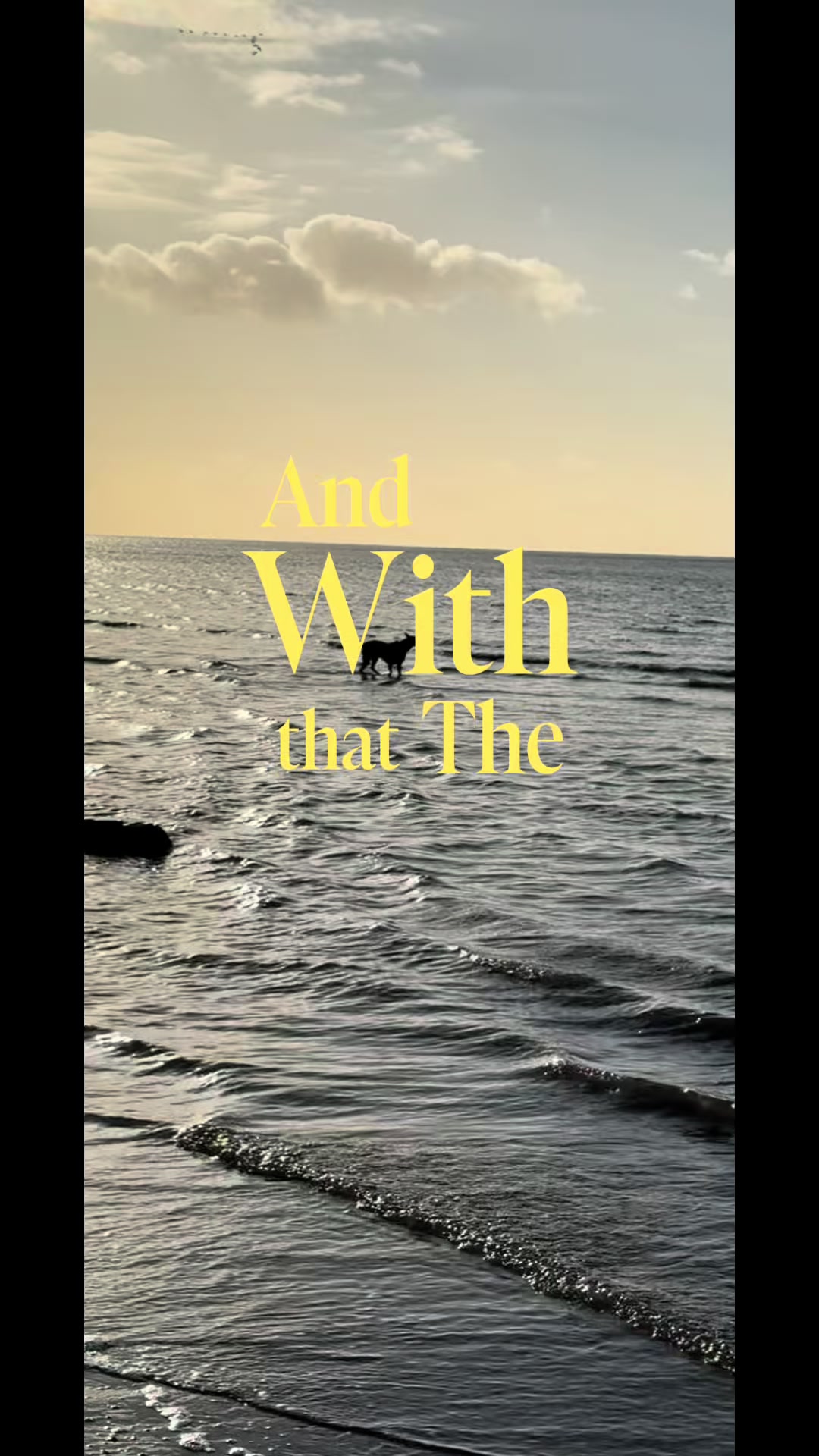 @Am