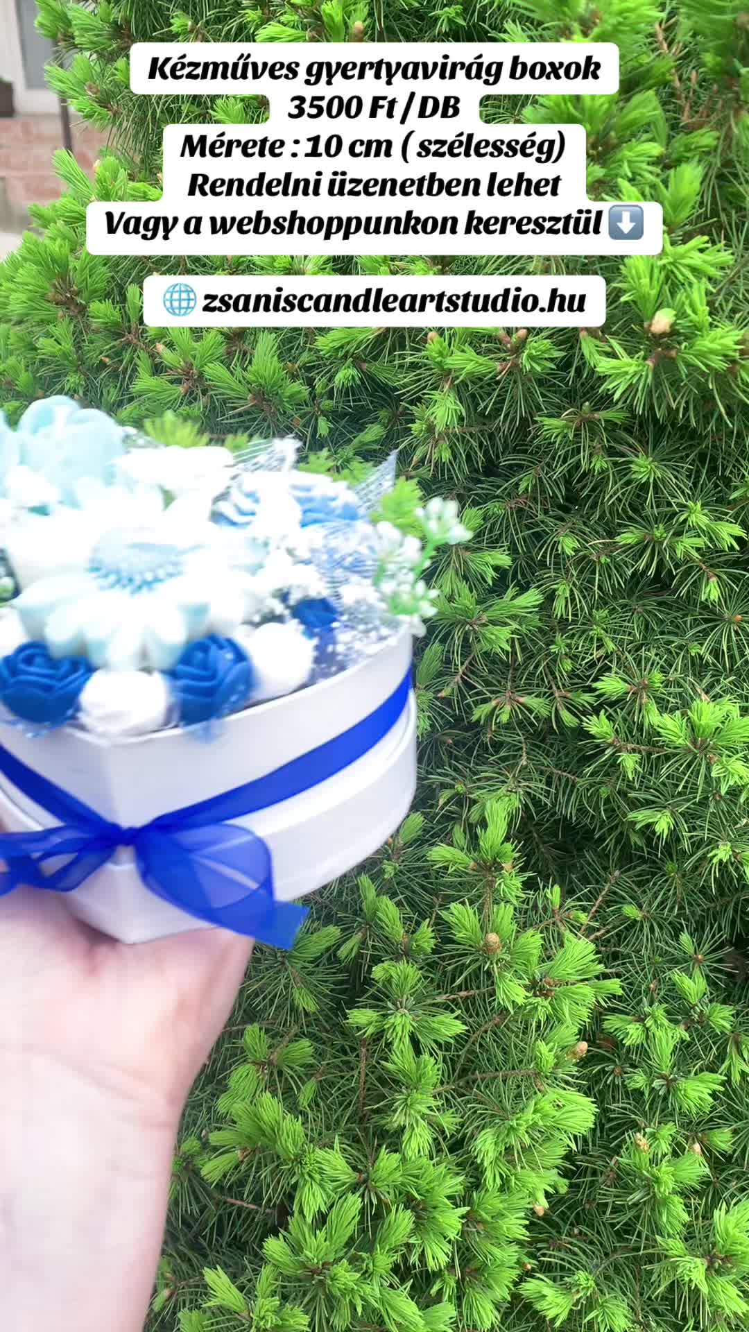 @Greenbaby_20