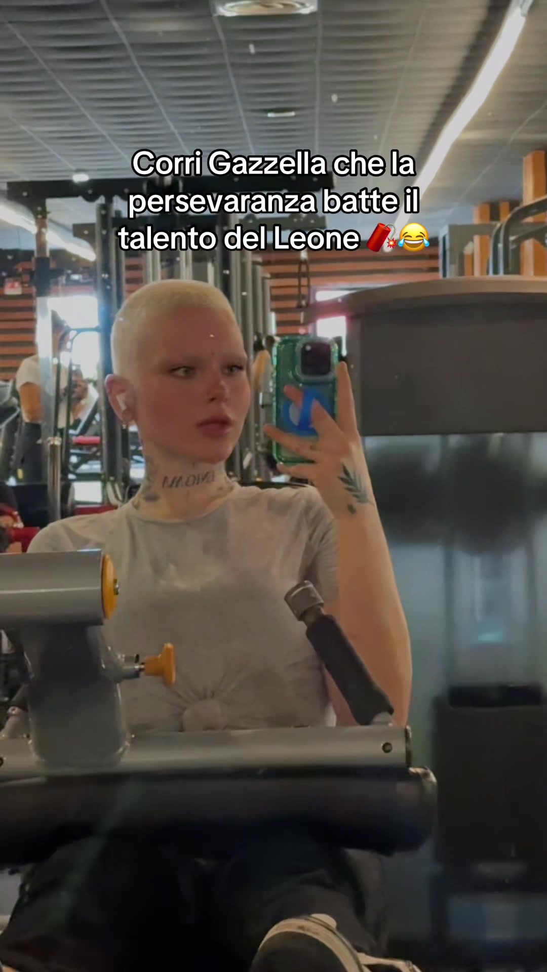 @__y0l4ndi