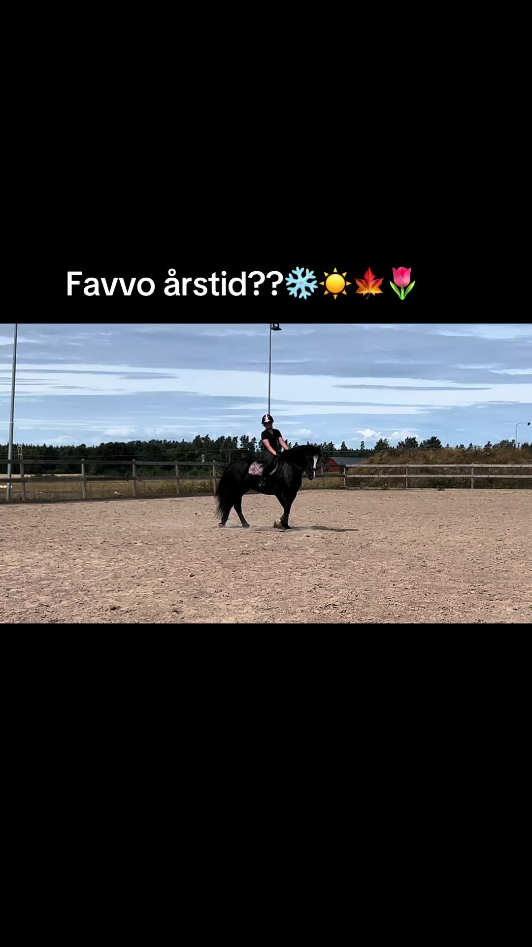 @🇸🇪🦄𝓔𝓵𝓲𝓷 𝓔𝓭𝓺𝓿𝓲𝓼𝓽