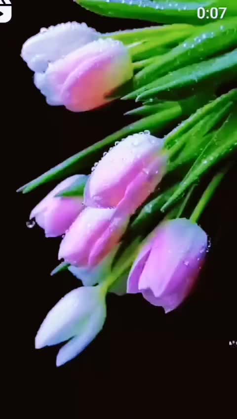 @💘💘 காதல் நிலா 💘 💘