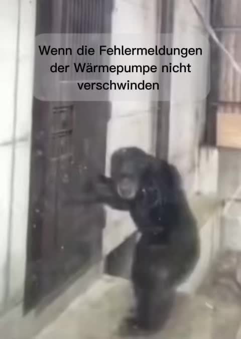 @Neue Deutsche Handwerker