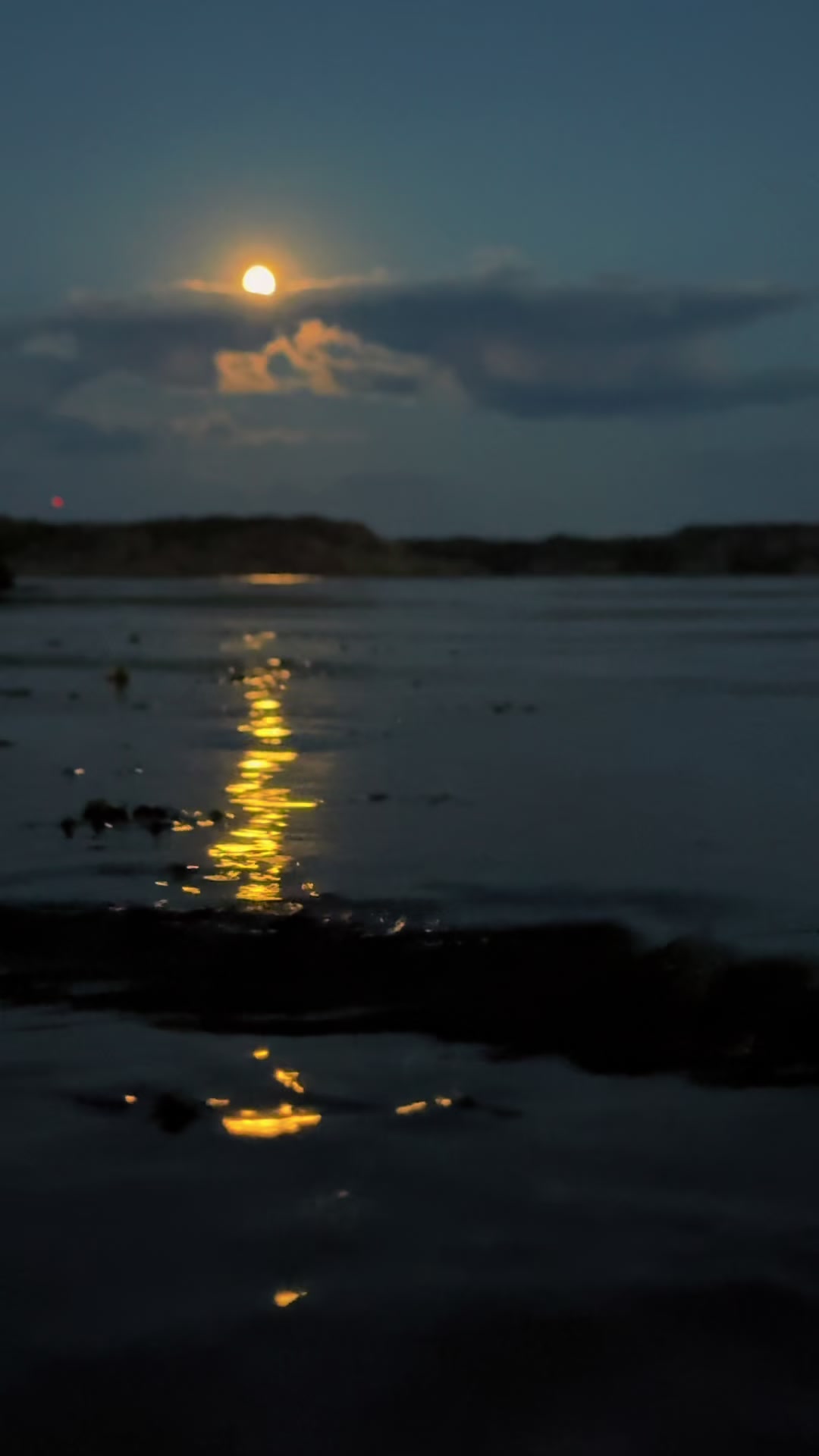 @CarinaWestcoastSweden🇸🇪