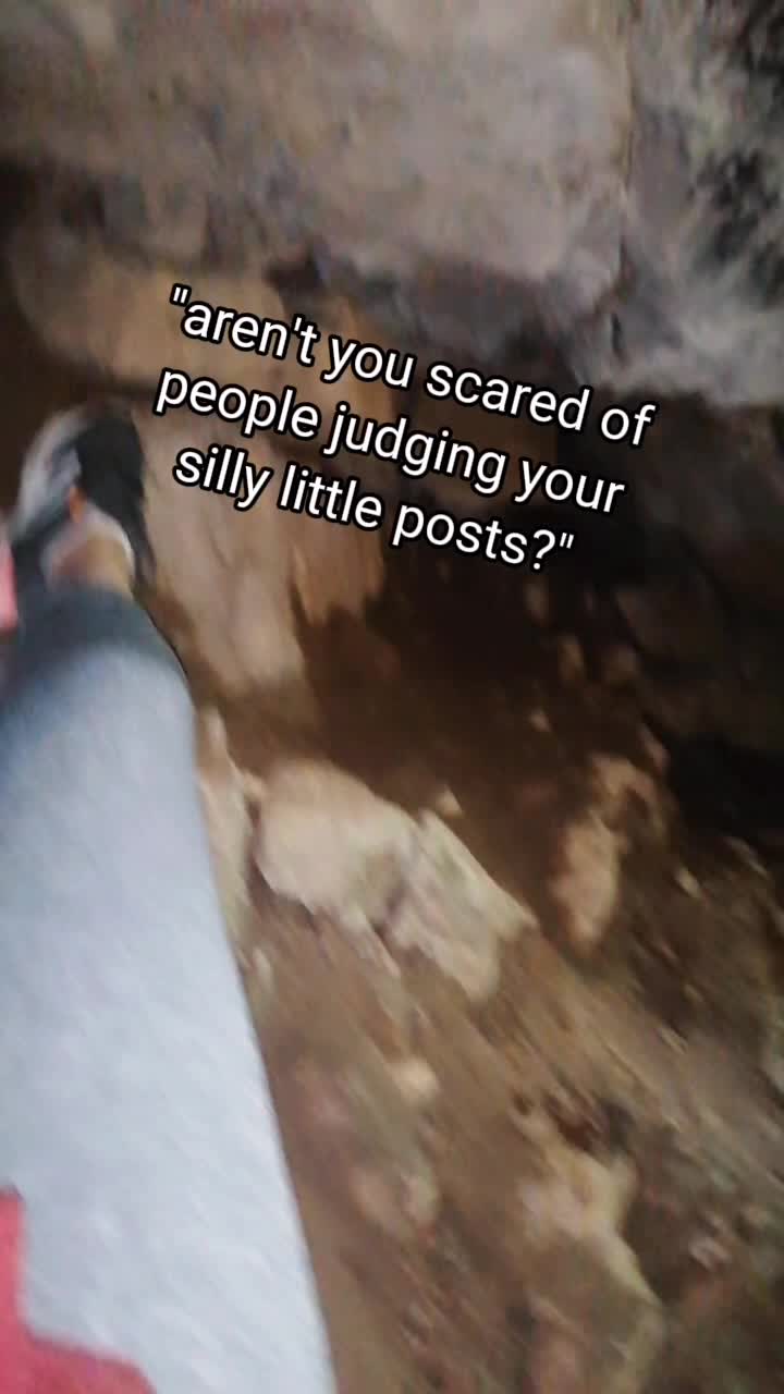 @Dawn