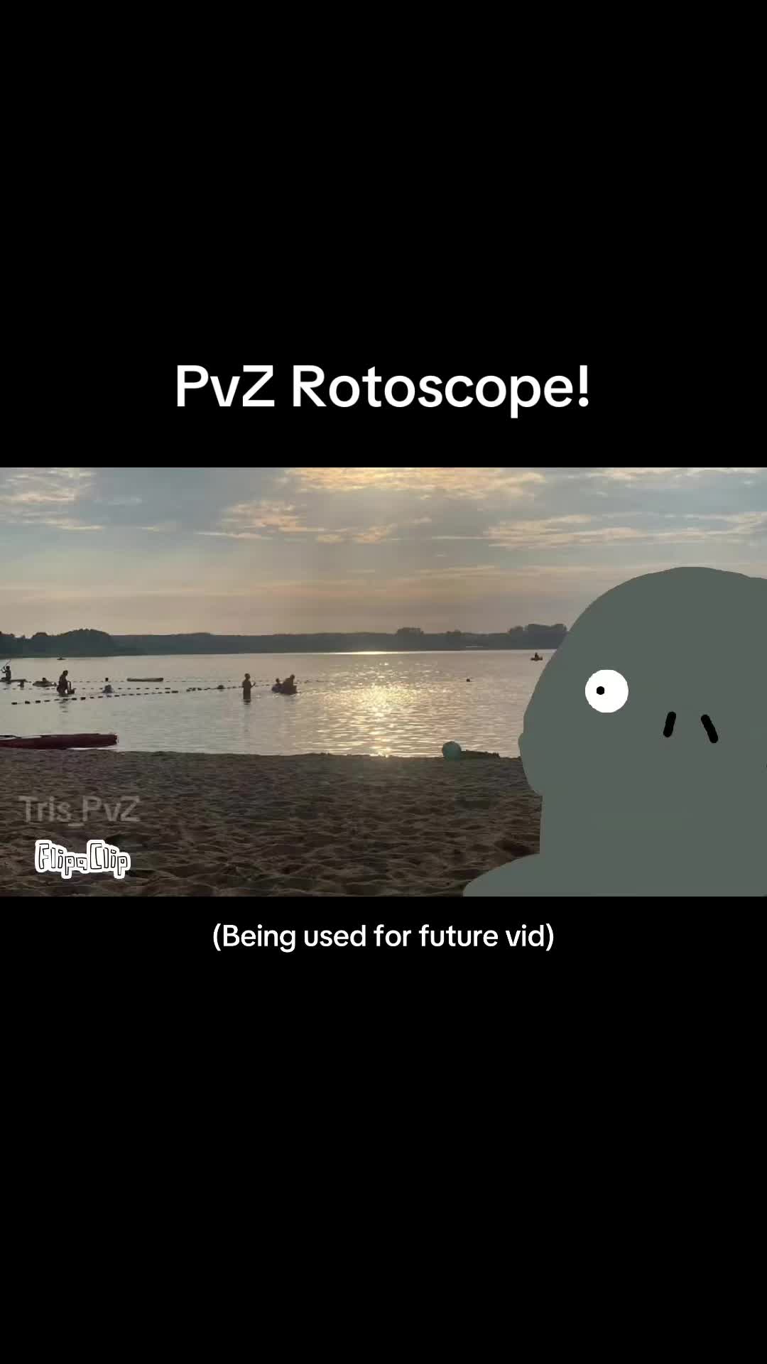 @Tris_PvZ