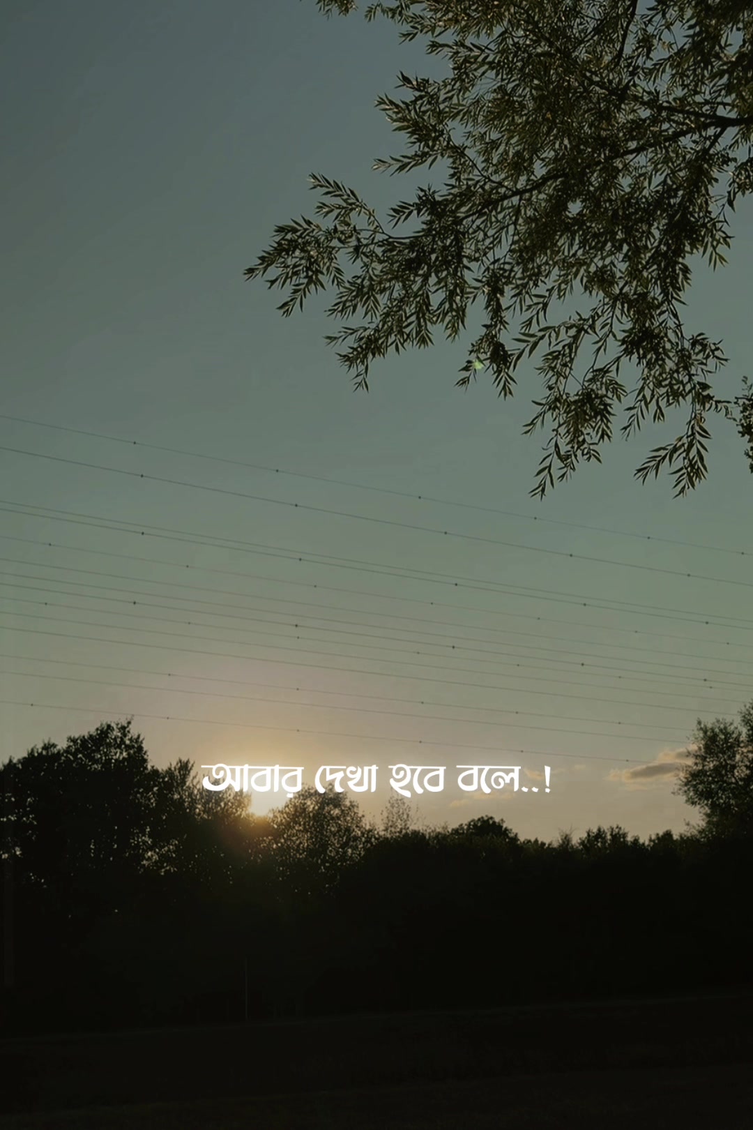 @moumita