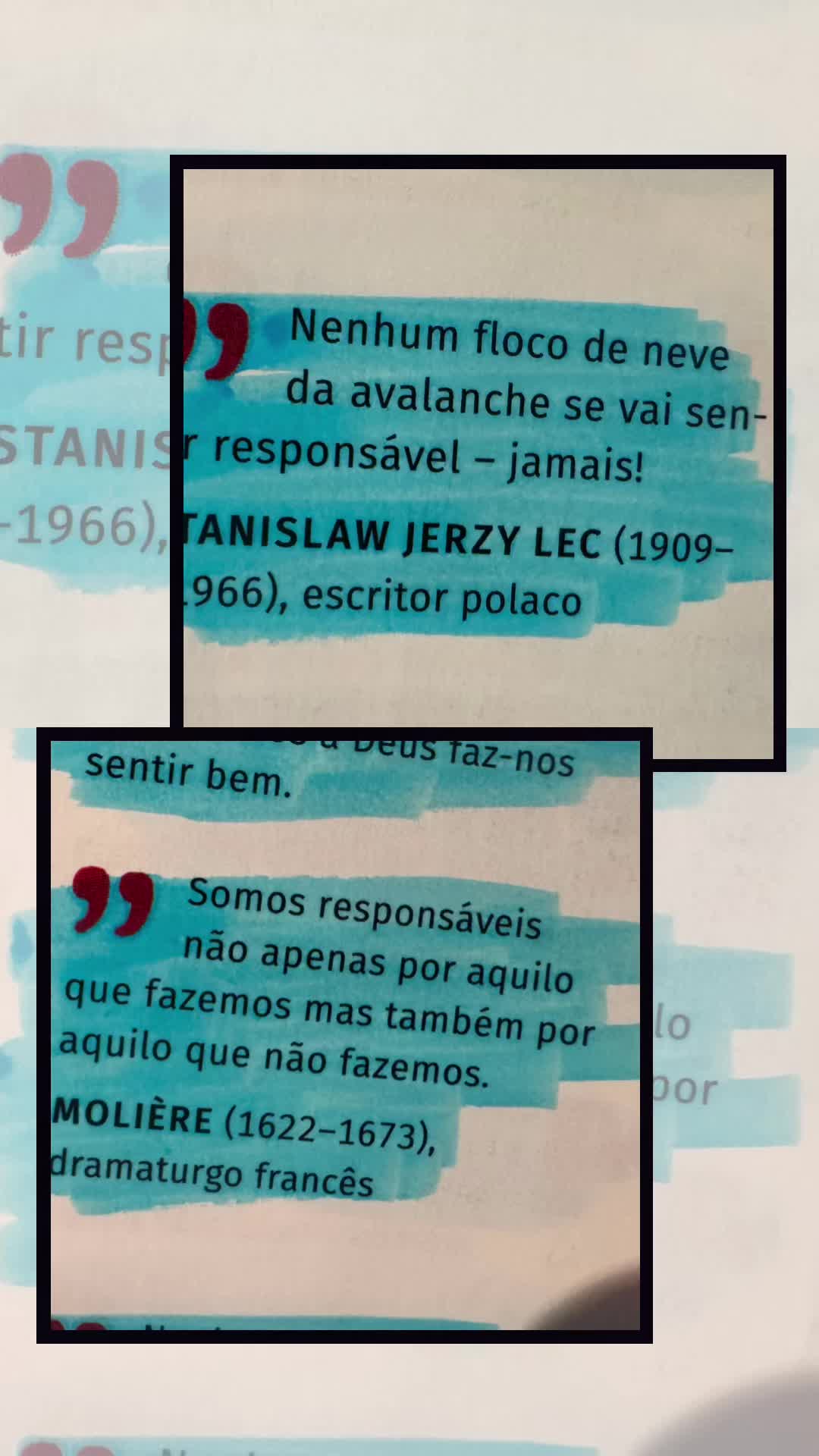 @Sofia Inácio