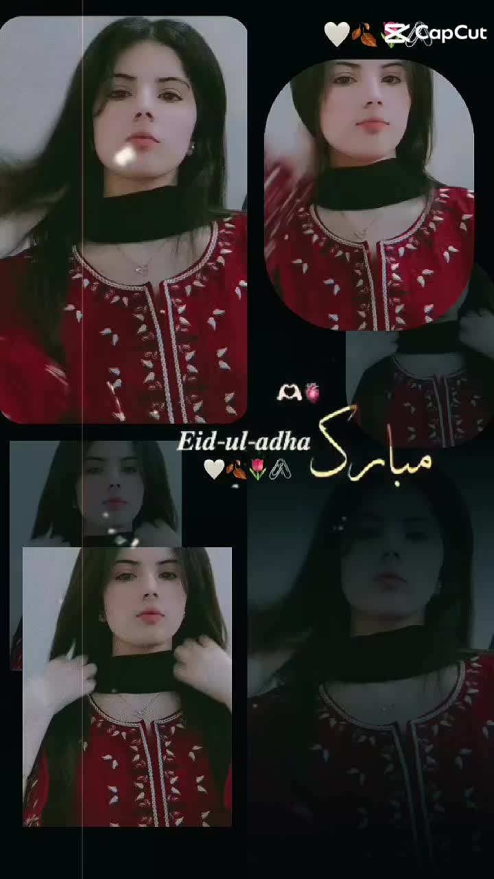 @❤️ Annsha❤️