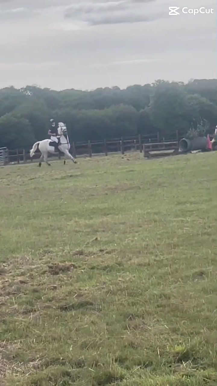 @amelia_showjumping2