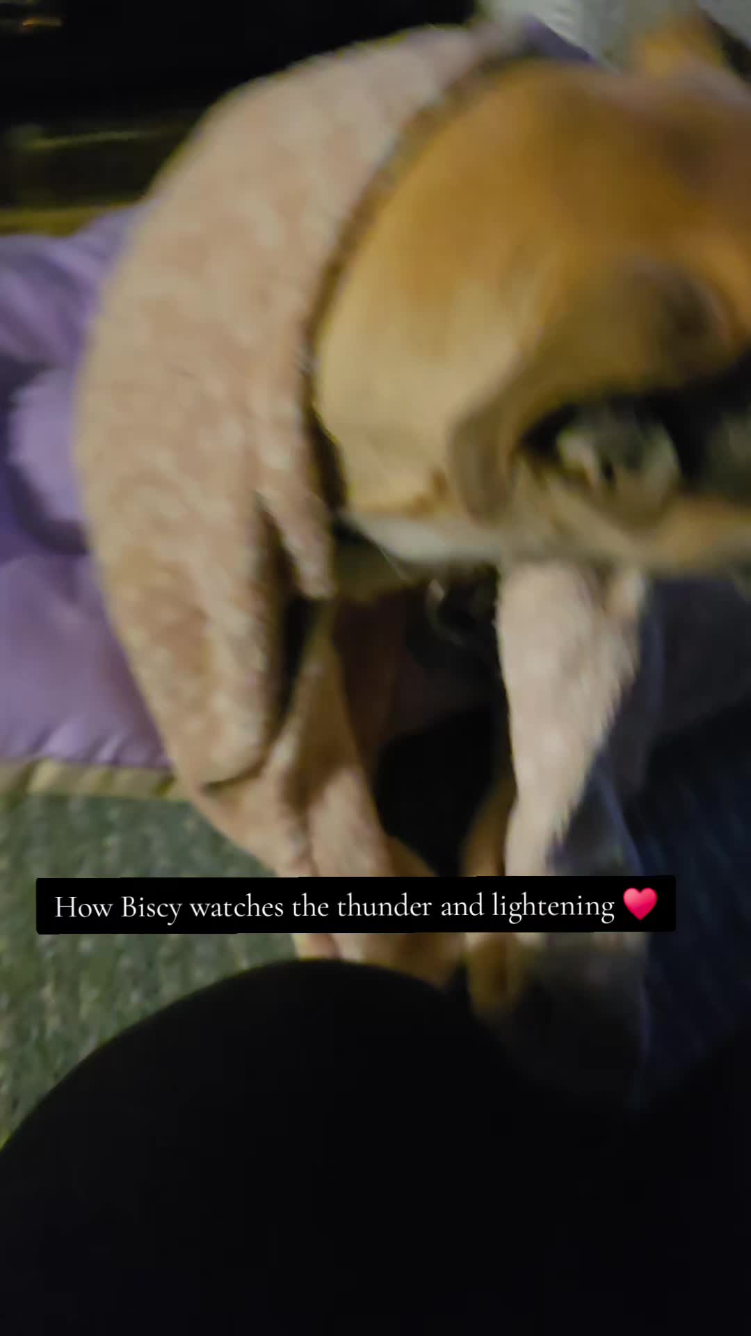 @HannahElizabethHarrison