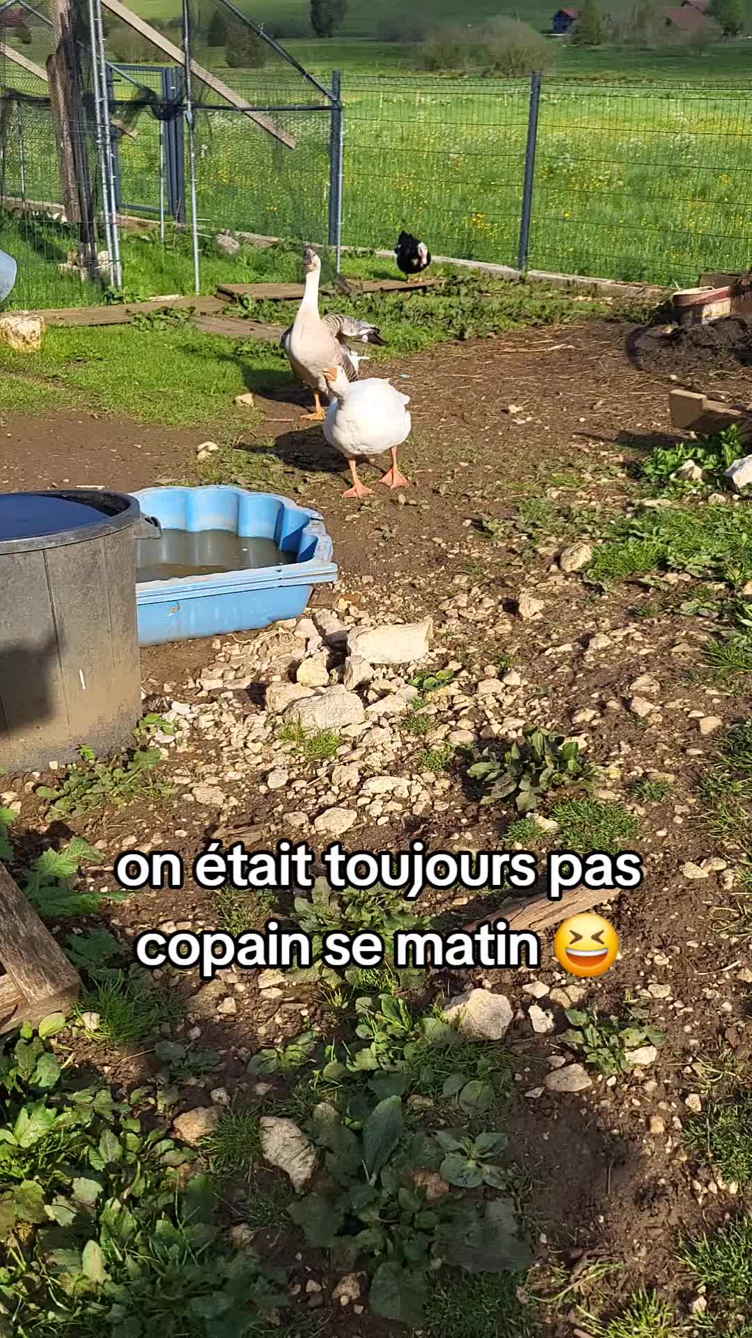 @La.petite.ferme
