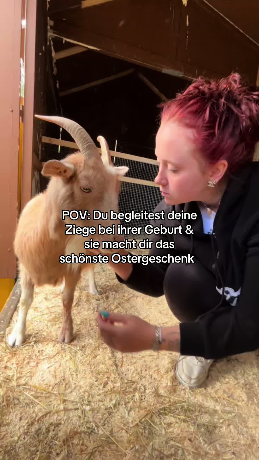 @Vanessa Leibfarth