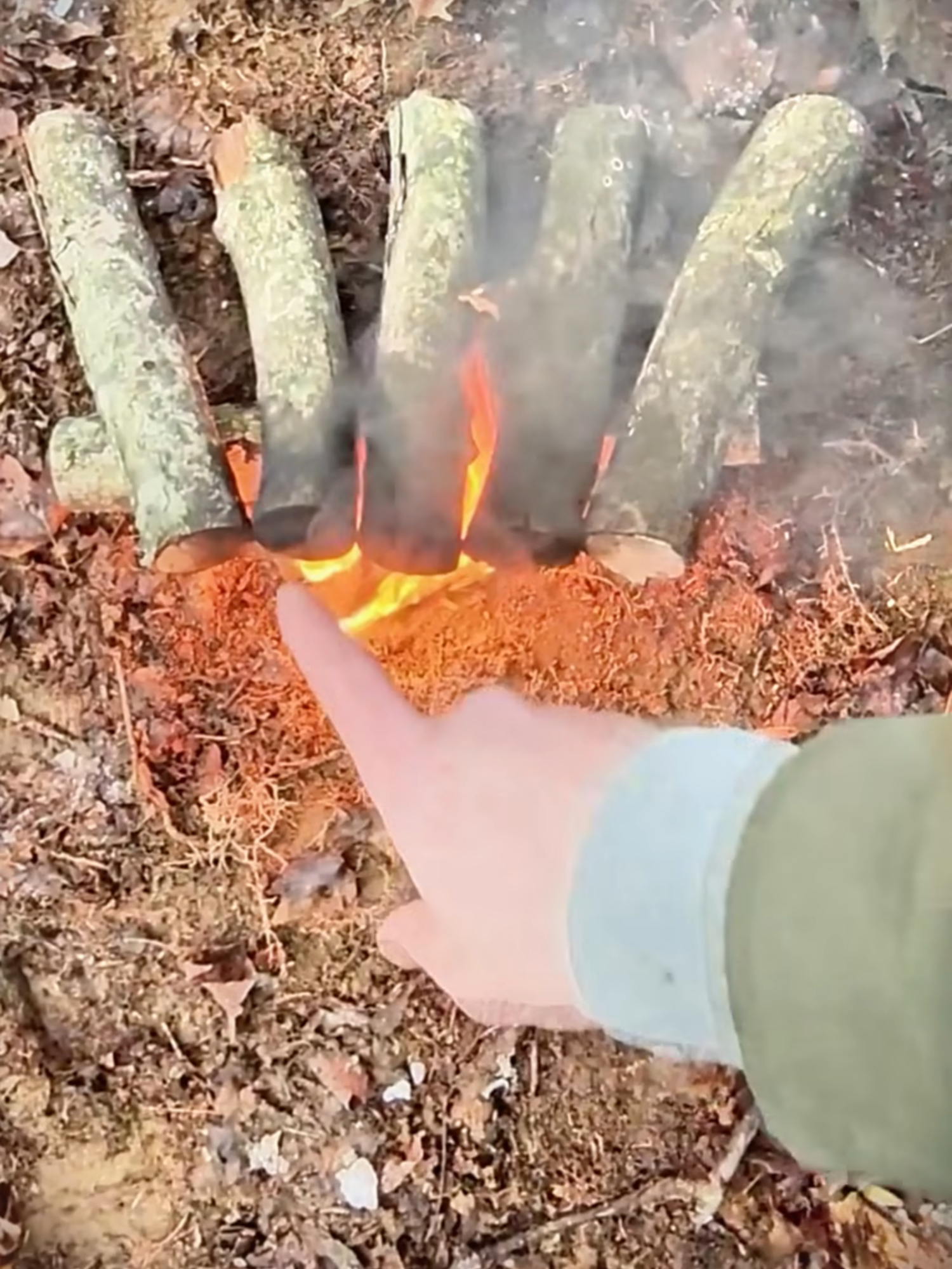 @Survive in The Forest
