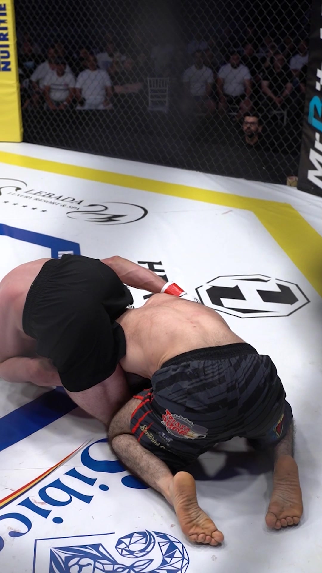 @Heroes MMA LIVE