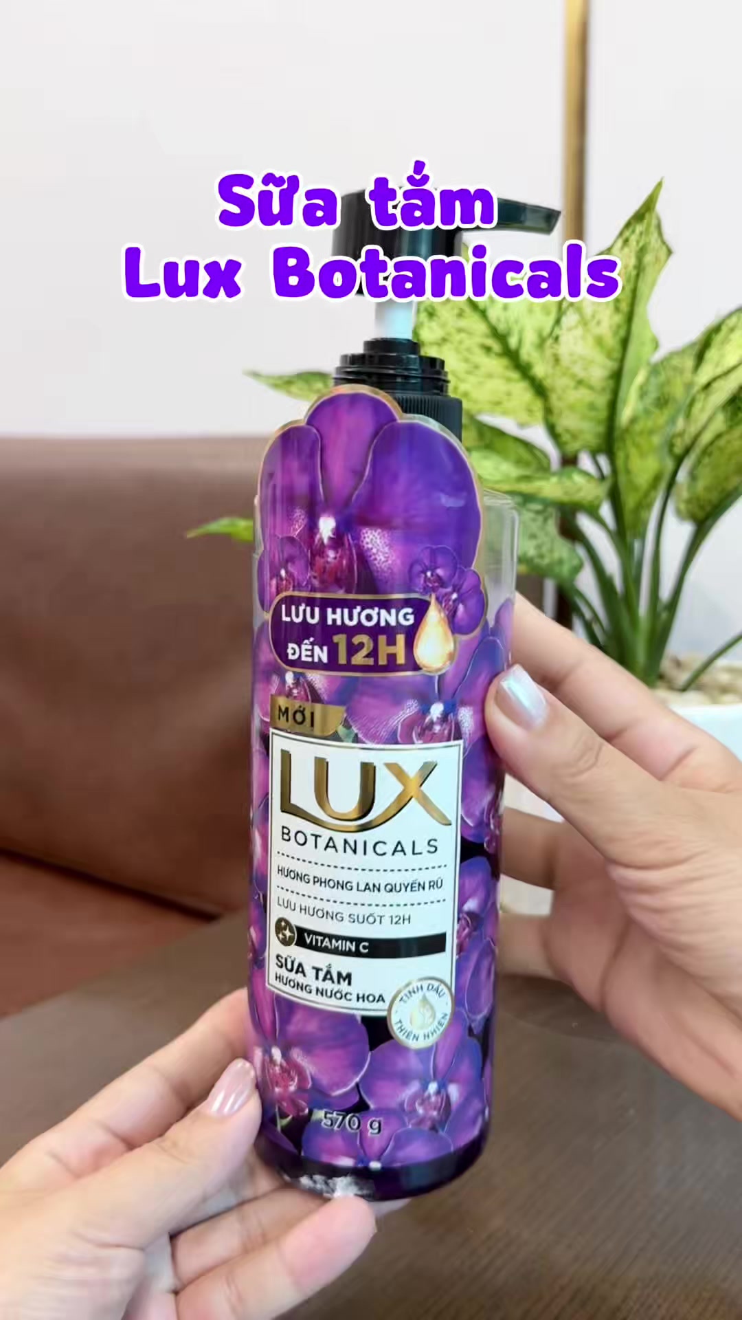 @Gia Đ&igrave;nh M&egrave;o M&aacute;y