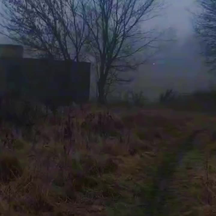 @🕷️🕸️