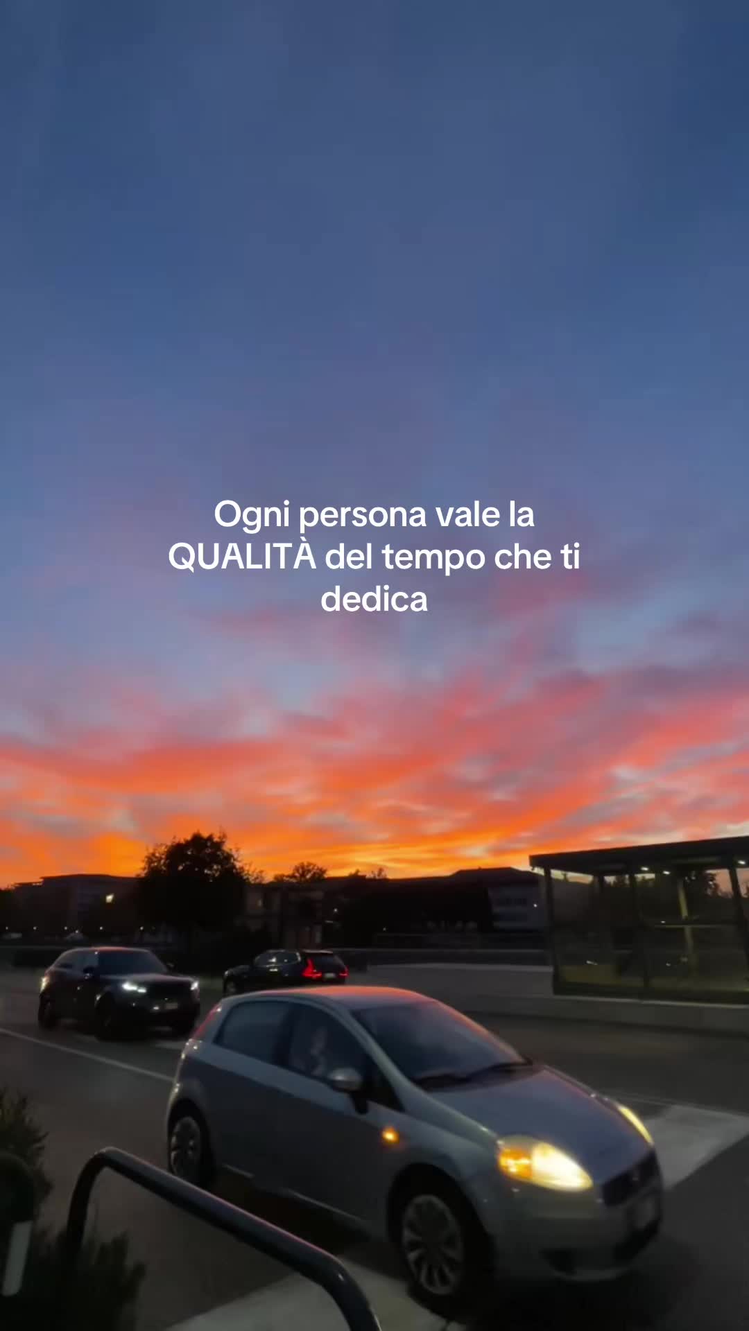 @misia massardi