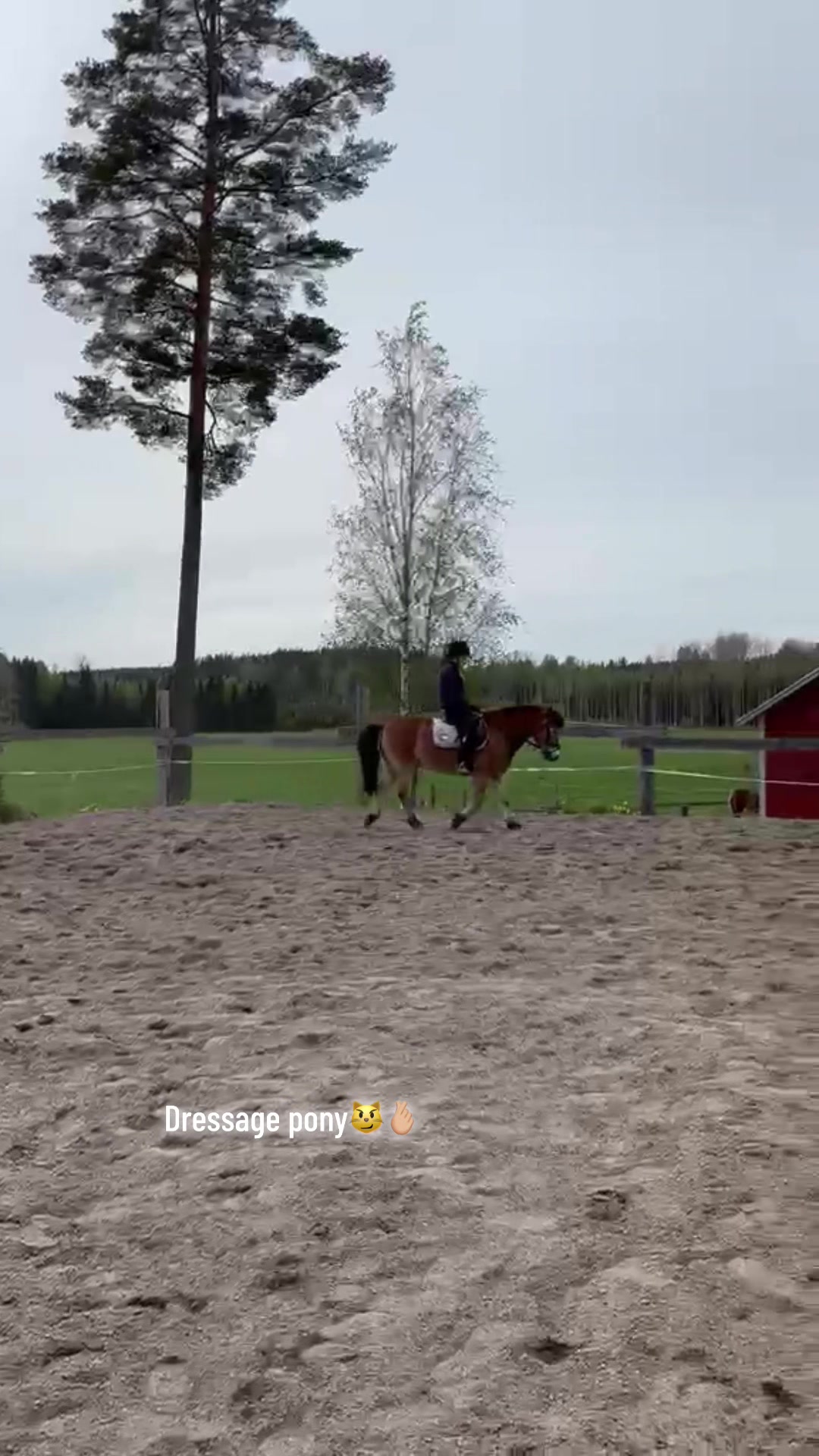 @Ponirannan talli🇫🇮🐎