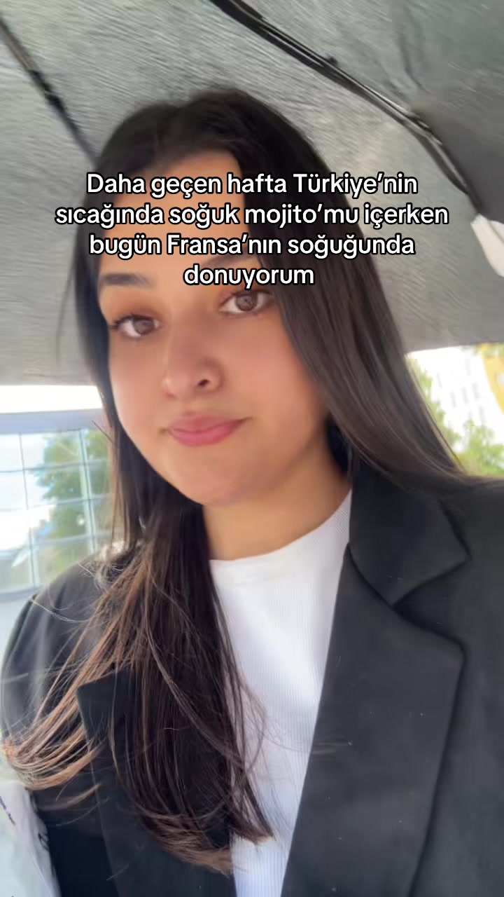 @aysegul.dlkbs