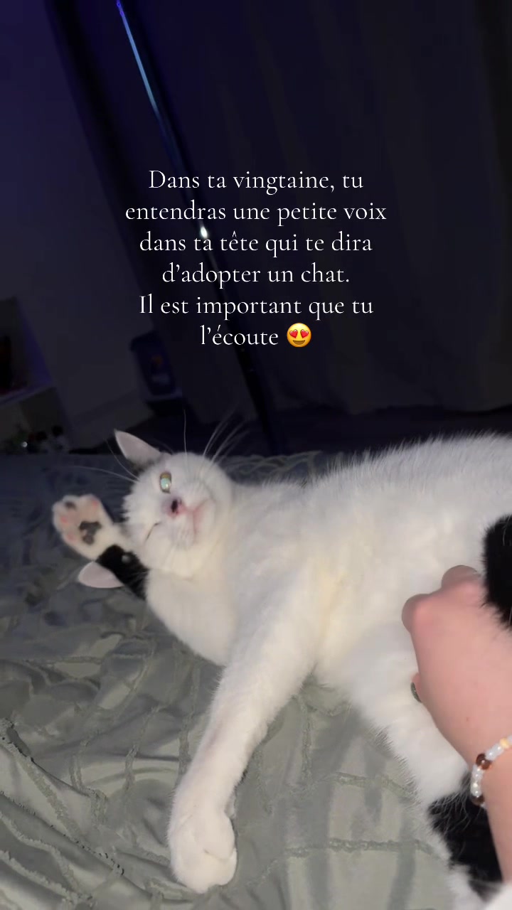 @𝒜’🦋