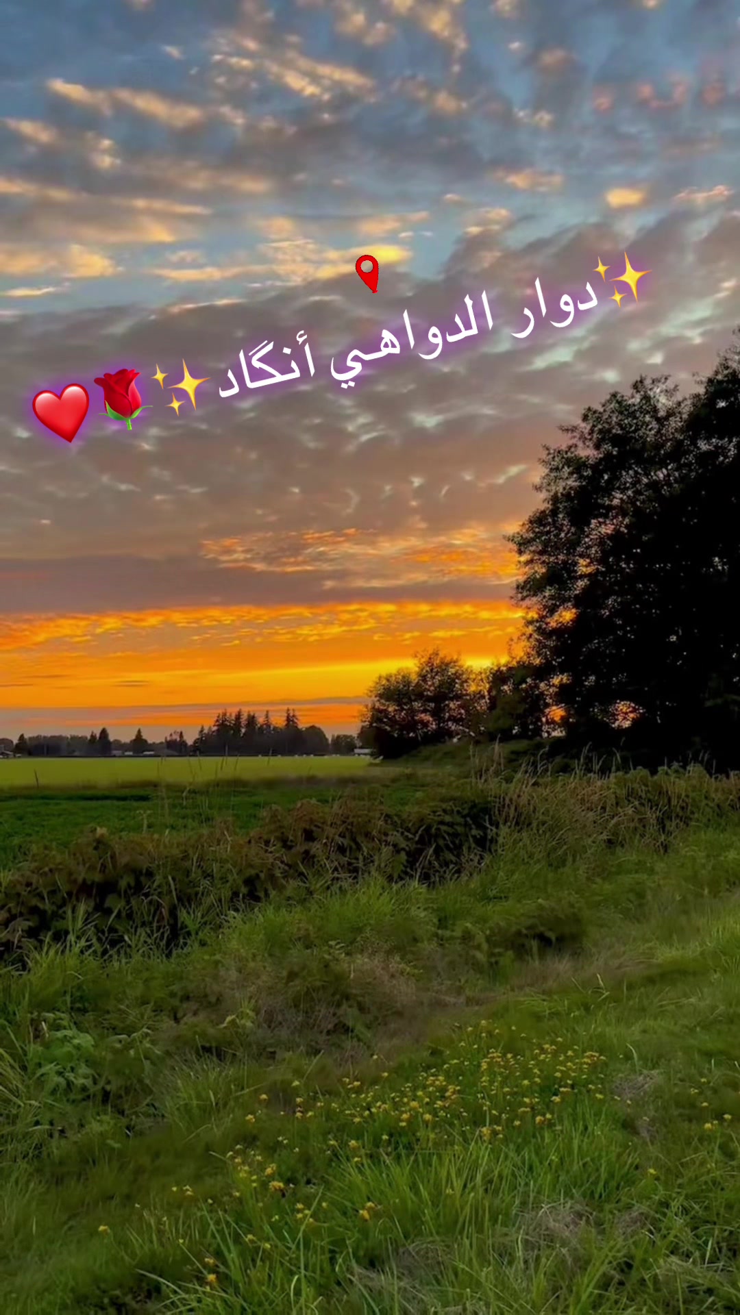 @❤️💫𝑺𝒂𝒎𝒊𝒓 𝑵𝒈𝒂𝒅𝒊💫❤️