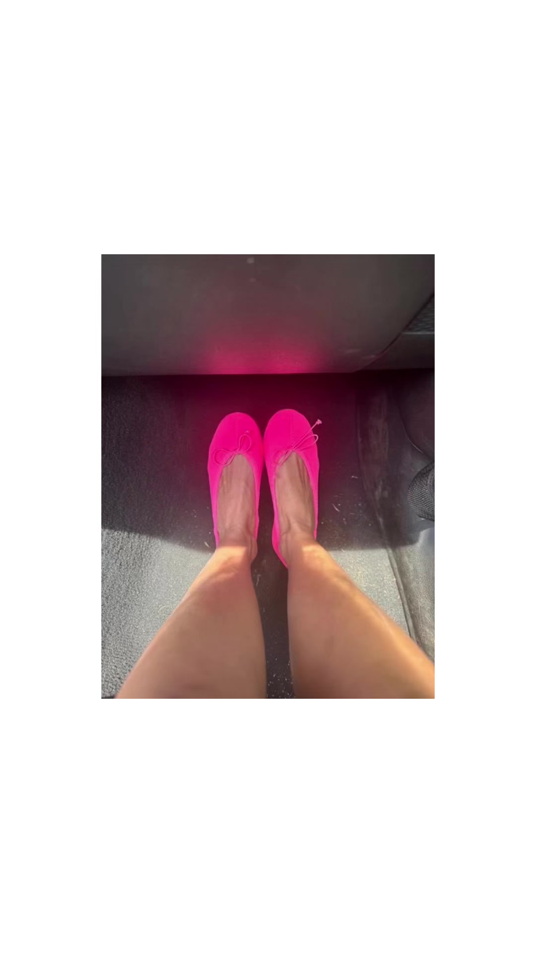 @🐬