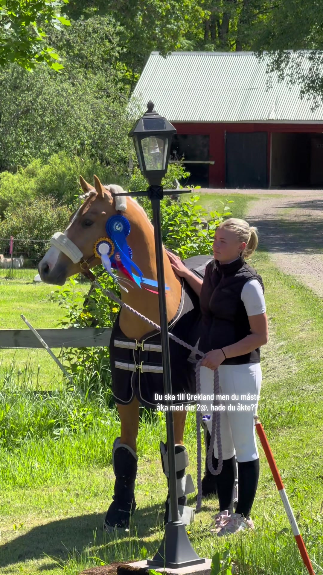 @🇸🇪Team Alslycka🇸🇪
