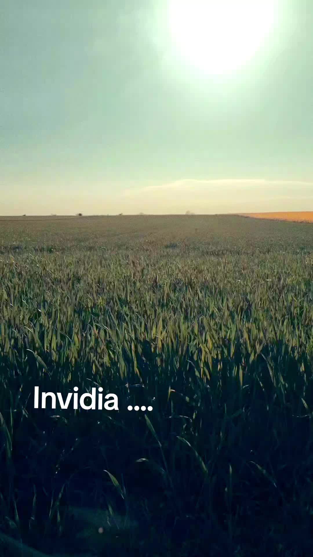 @Tiberiu