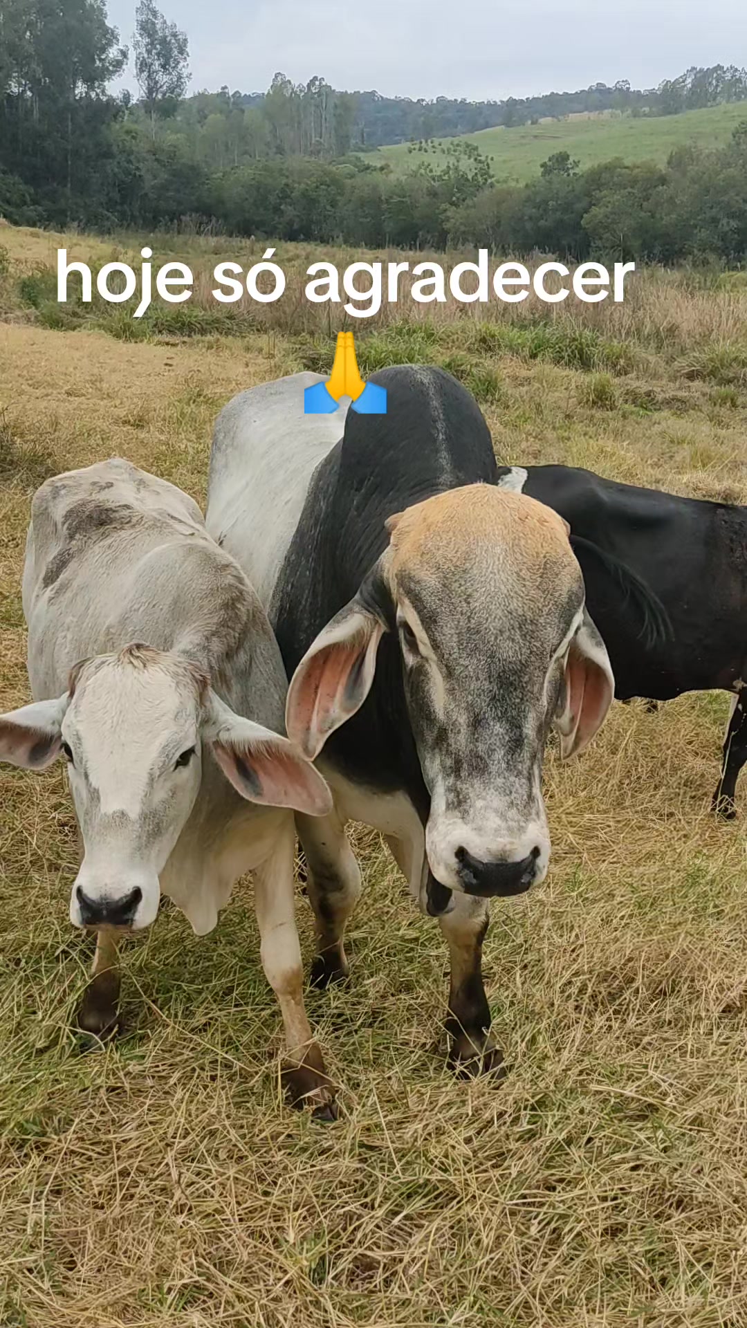 @mariamarciaoliv57
