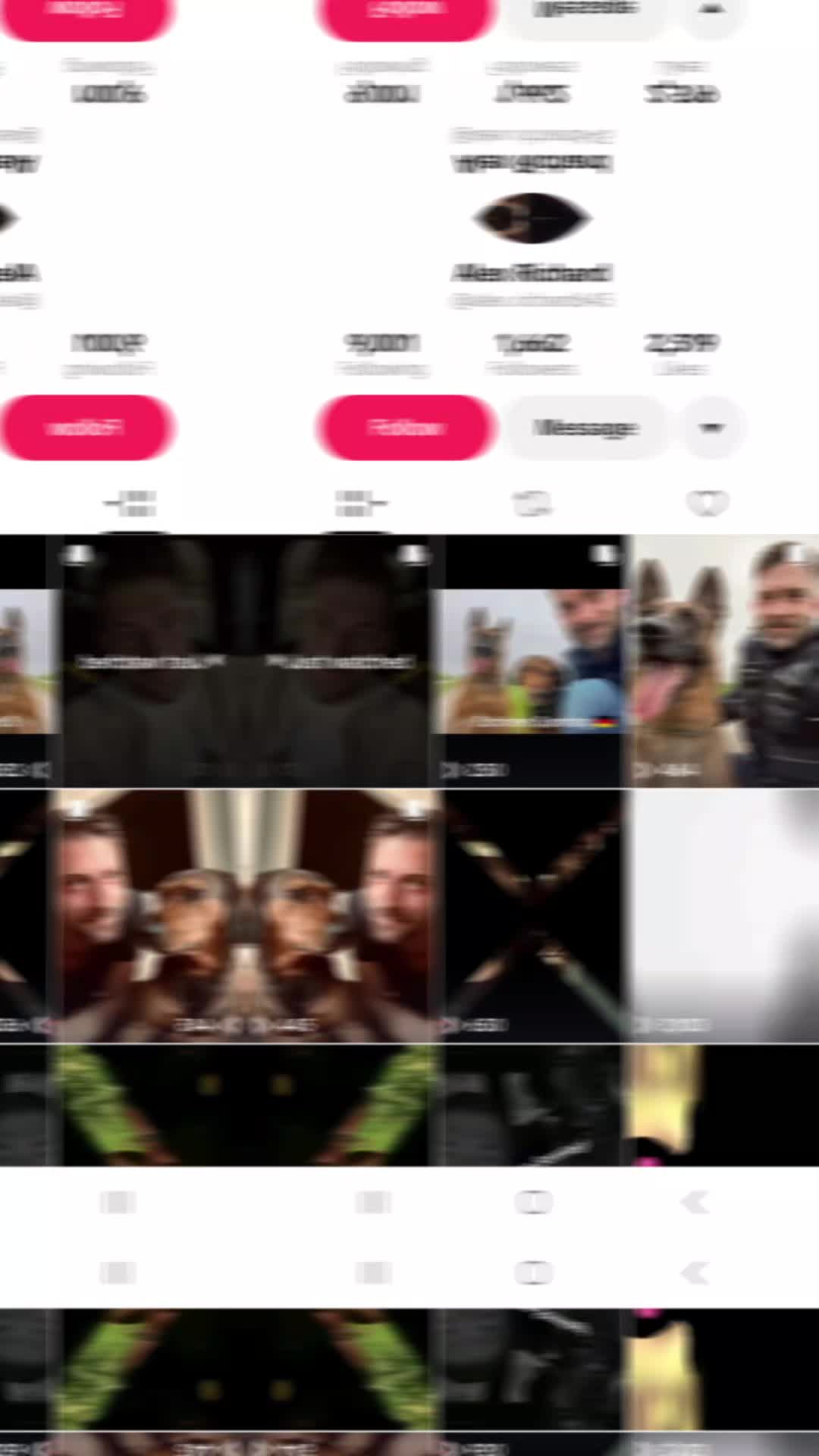 @wolfbait_2