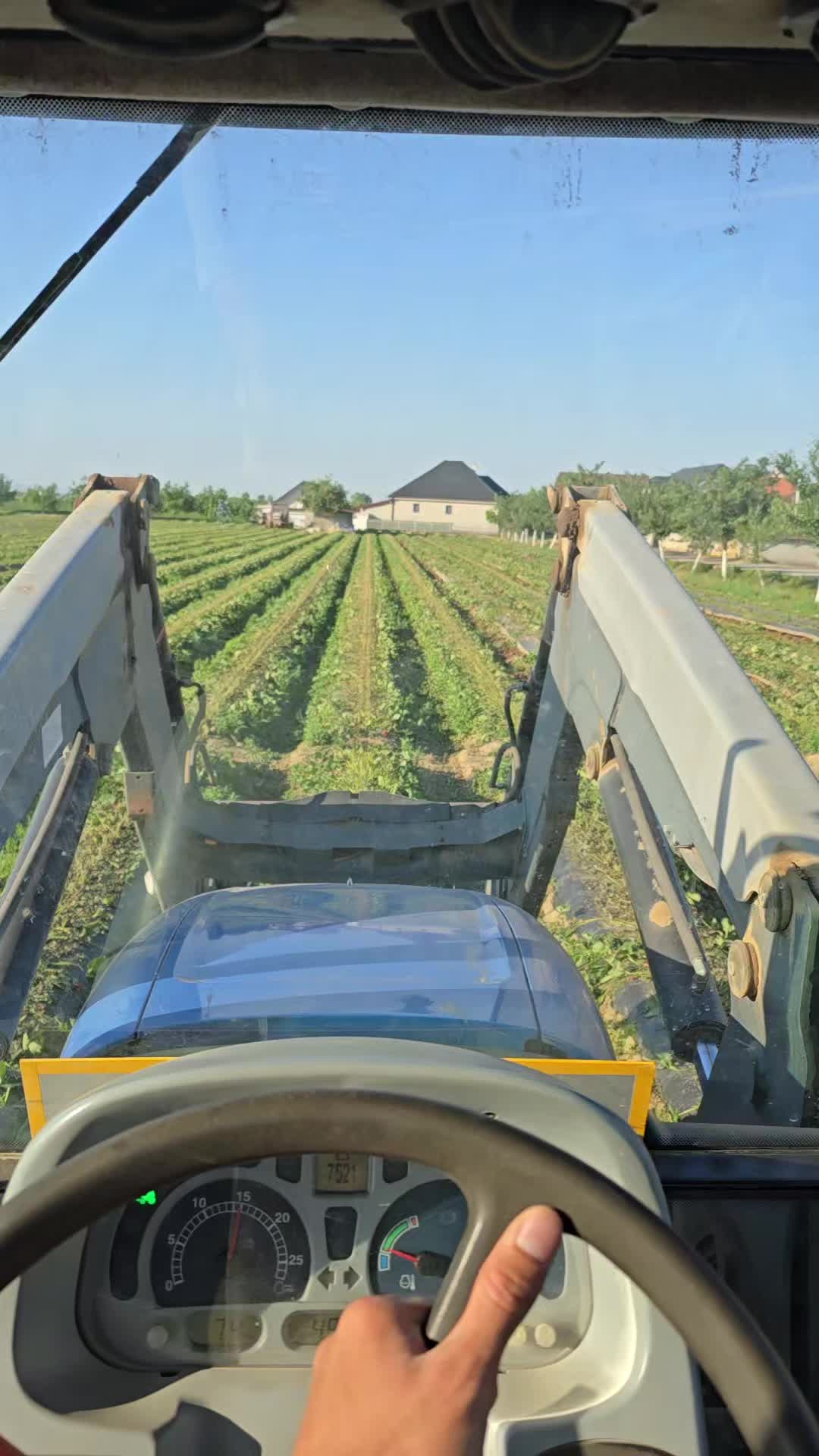 @Faze Farm