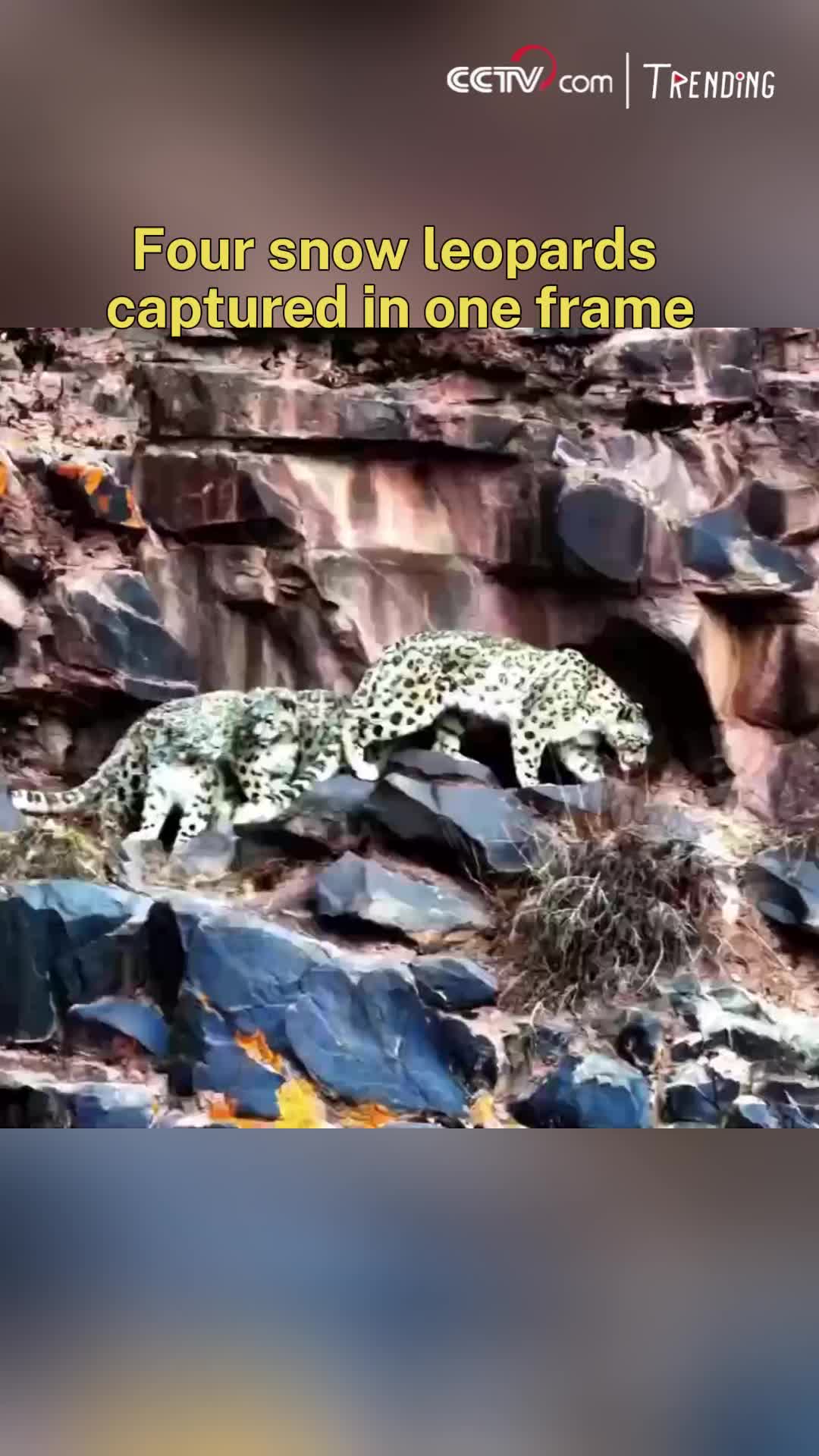 @HiChina