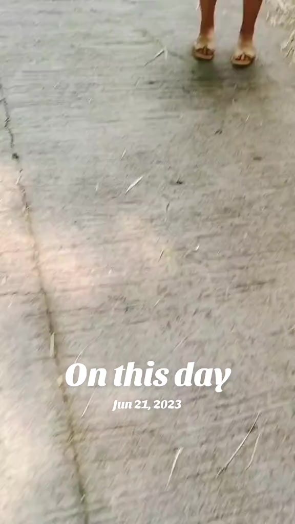 @🎶🎵gab veña🎶🎵