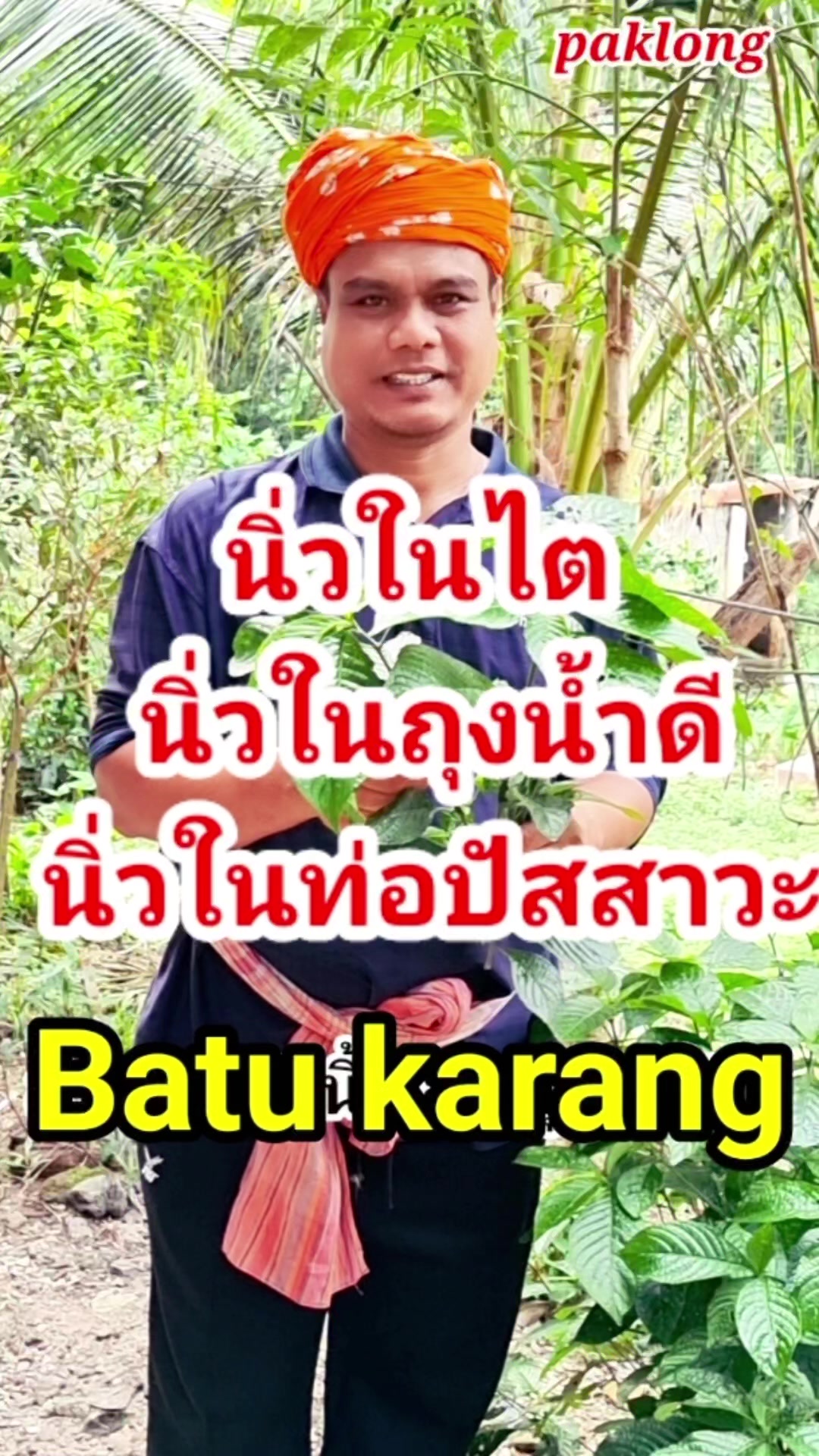 @Paklong Herb