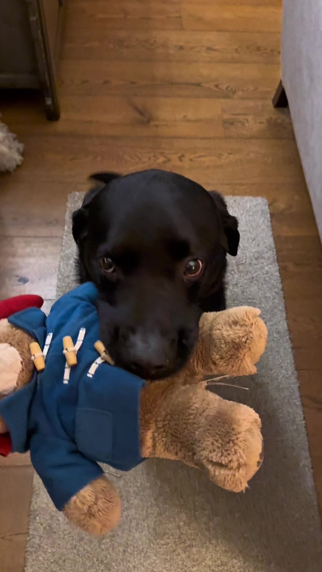 @Denzel The Labraseal