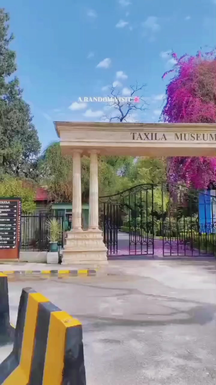 @Sumaira Saleem